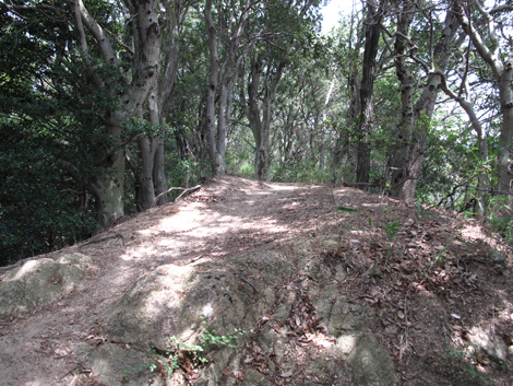 20140602hike (64)